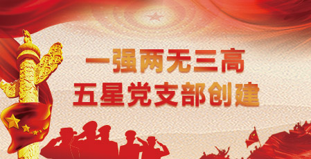 一強兩無三高 五星黨支部